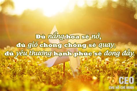 Tổng Hợp Những Danh Ngôn Về Sự Cho đi Và Nhận Lại