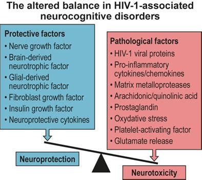 在 HIV 1 感染的情况下神经毒性和神经保护之间的微妙平衡 Glia X MOL