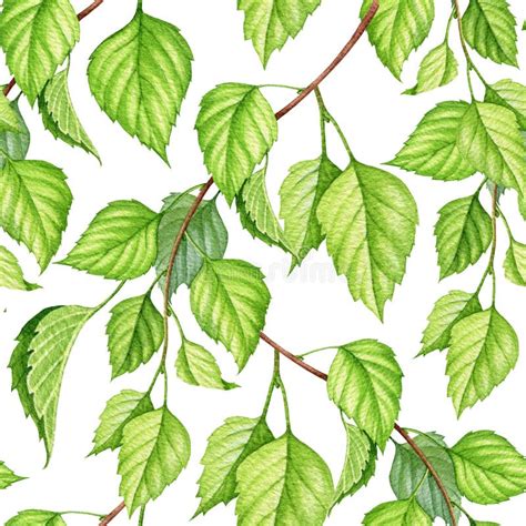 Green Leaf With Branches Seamless Pattern Watercolor Illustration