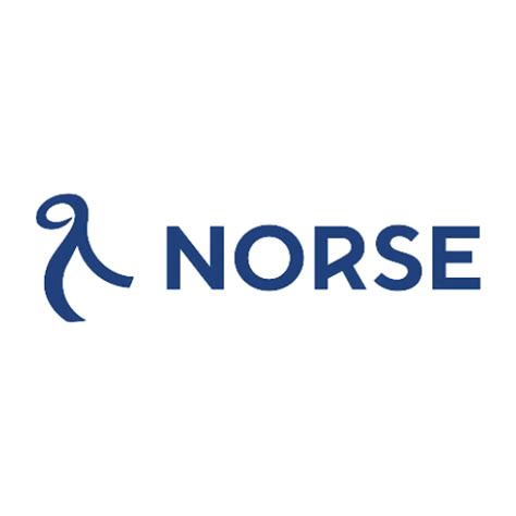 Norse Atlantic Ff News Fintech Finance