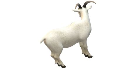 Goat Isolated On A Transparent Background 34713348 PNG