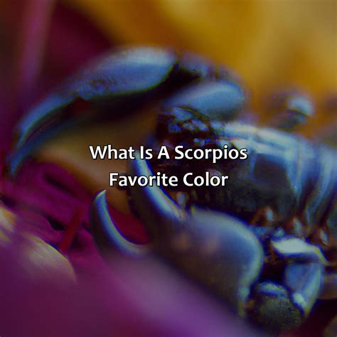 What Is A Scorpio S Favorite Color Colorscombo