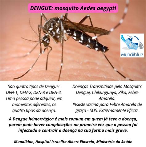 O que está por trás de nova epidemia de Dengue no Brasil Mundiblue