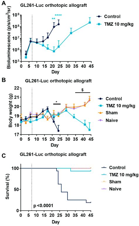 Effects Of Temozolomide Tmz Treatment In The Gl261 Glioblastoma Mouse