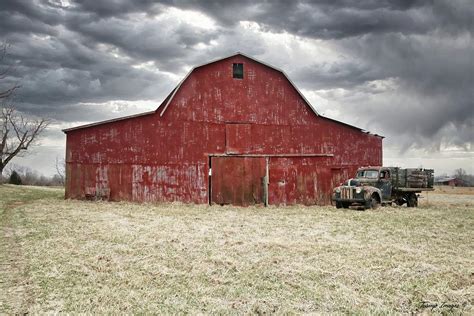 Roots Photograph By Wesley Nesbitt Fine Art America