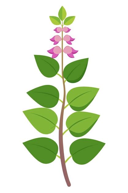 Ilustración vectorial de diseño mínimo de la planta de frijol de