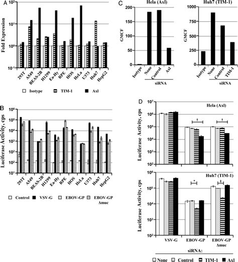 Endogenous Expression And Augmentation Of Glycoprotein Gpdriven