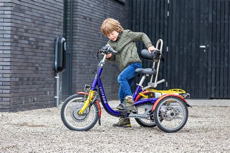 Tricycle Mini Tricycle For Special Needs Child Van Raam