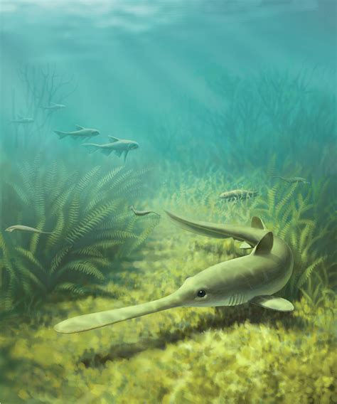 Ancient sharks reared young in prehistoric river-delta nursery