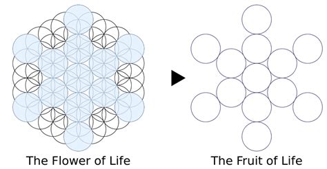 Fruit of Life Stages 61 circles to 13 circles Posvátná geometrie