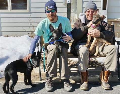 The Importance Of Dog Socialization In Animal Sheltering Building A