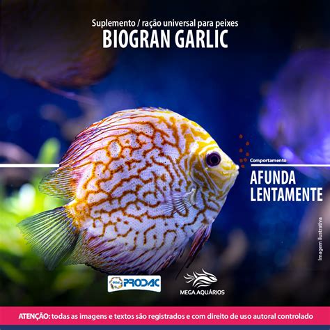 Ra O Peixe Prodac Biogran Garlic G Suplemento Aquario Mega Aqu Rios