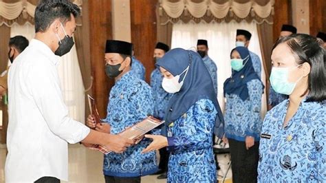 Cpns Dan Pppk Di Buka Cara Cek Formasi Cpns Dan Pppk September