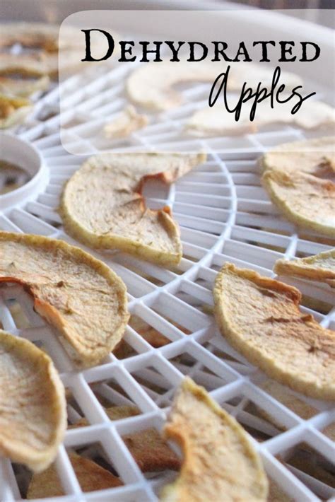 Dehydrated Apples | Recipe | Food, Dehydrated apples, Quick healthy snacks