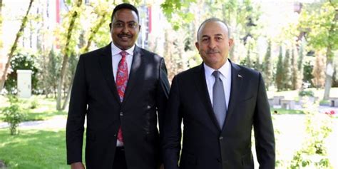 Meeting Of Foreign Minister Mevl T Avu O Lu With Dr Workneh Gebeyehu