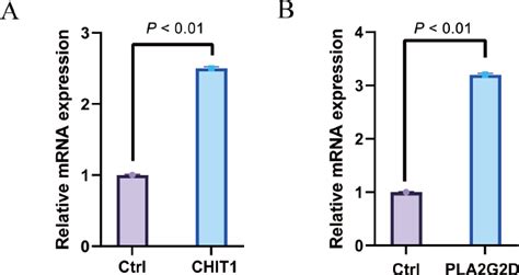 Pla G D And Chit Potential Biomarkers For Immune Infiltration And