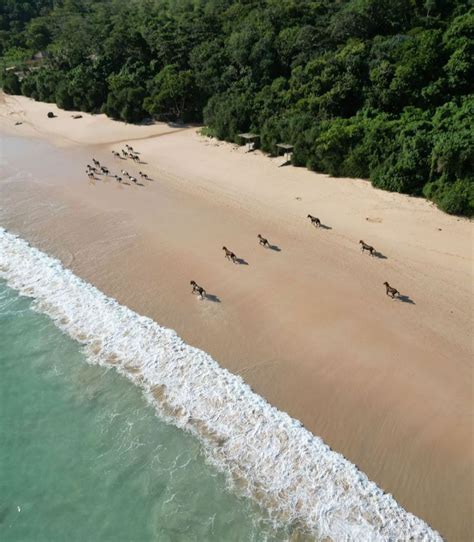 Pesona Keindahan Pantai Nihiwatu