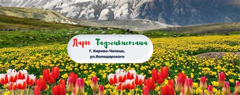 Дары Таджикистана, ул.Володарского | Мы находимся в г.Кирово-Чепецке ...