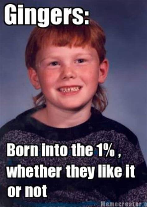 30 Ginger Memes That Are Way Too Witty