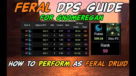 How To Dps As Feral Druid In Gnomeregan P Feral Dps Guide