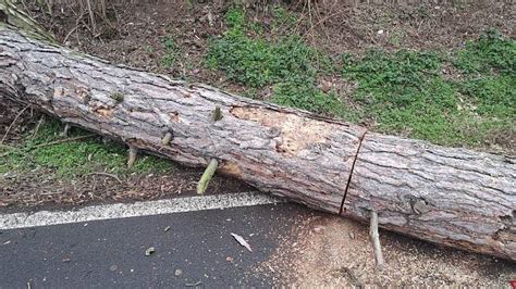 Fotogalerie Vítr na Kladensku opět lámal stromy Kladenský deník