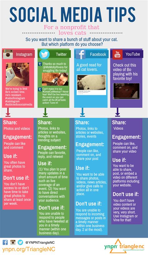 The Ultimate Social Media Cheat Sheet Infographic So Mores Pics