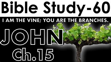 The Gospel Of John Chapter 15 Bible Study 60 Youtube