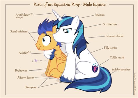 [Image - 636147] | My Little Pony: Friendship is Magic | Know Your Meme