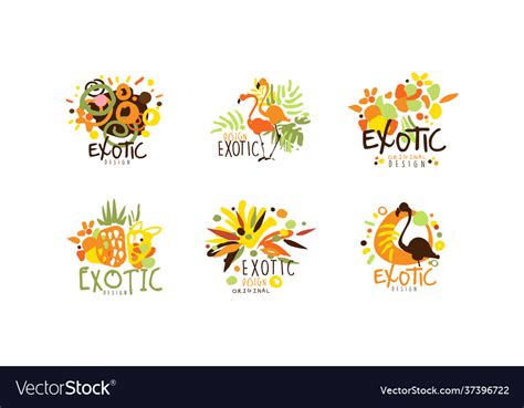 Exotic Logo Original Design Collection Summer Vector Image