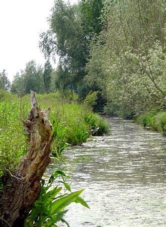 Le Marais Audomarois Un Lieu Unique Du Nord Pas De Calais