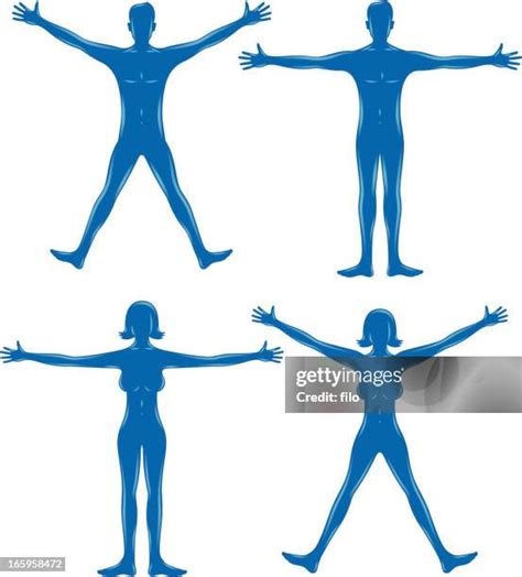 35 Perfect Female Body Shape High Res Illustrations Getty Images
