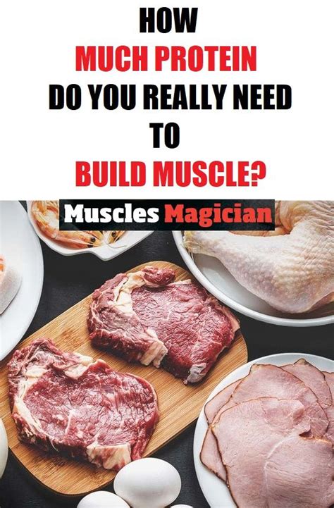 How Much Protein Do You Really Need To Build Muscle Build Muscle