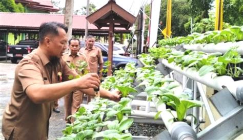 Kabupaten Berau Kembangkan Gerakan Urban Farming