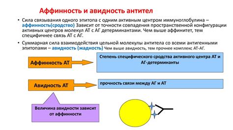 Антигены и антитела. (Лекция 2) - презентация онлайн