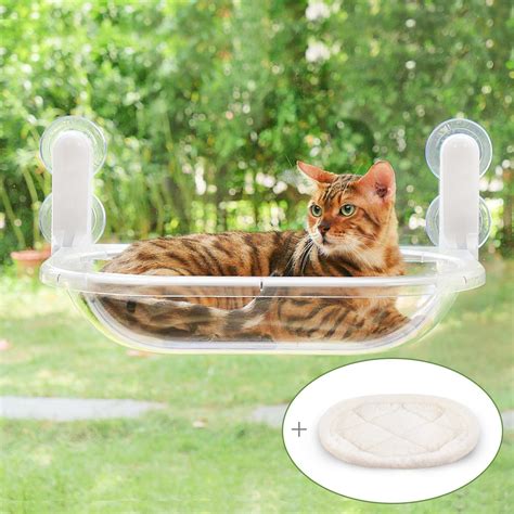 Zoratoo Percha Transparente Para Ventana De Gato Asiento De Hamaca De