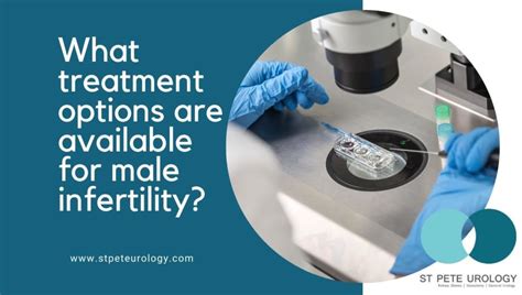 What Treatment Options Are Available For Male Infertility St Pete