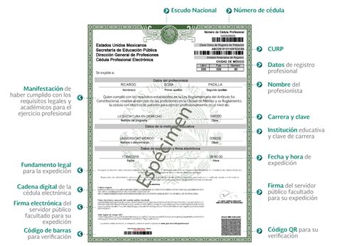 Conoce La Nueva C Dula Profesional Electr Nica C Dula Profesional