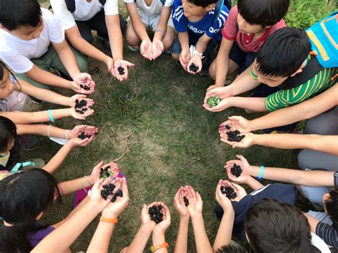 Parent Teacher Association Forest House Waldorf School