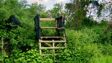 Lookout Wooden Ladder Seat Also Known As Hunters Seat Hunters High Seat Between The Trees In