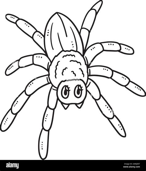 Black Spider Coloring Pages