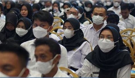 kabar baik honorer   mengabdi   bisa lolos pppk