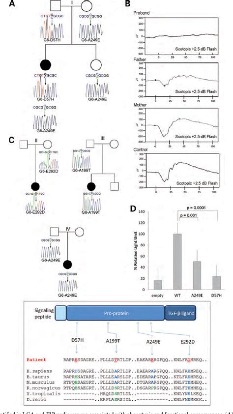 Figure 1 From Contribution Of Growth Differentiation Factor 6 Dependent Cell Survival To Early