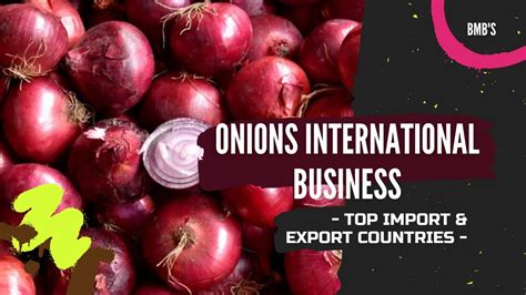 Onion Top Import Export Countries Onions International Business