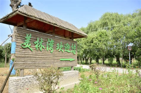 肥西：再添一家农家乐转型升级示范点旅游生态合肥市