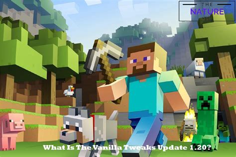 What Are Vanilla Tweaks 1.20 Update? - The Nature Hero