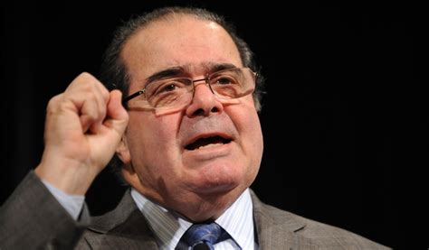 Antonin Scalia Quotes Quotesgram