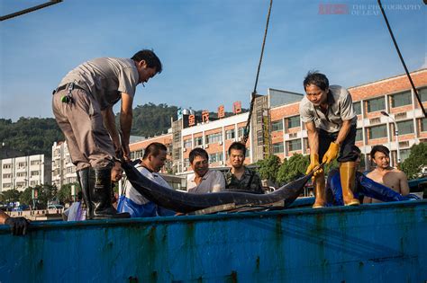 打捞海鲜摄影捞汁小海鲜海鲜自助餐第5页大山谷图库