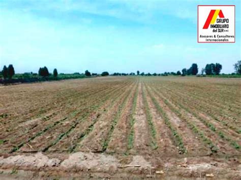 Terreno En Venta En Independencia Pisco 8 Hectareas U D 256 000