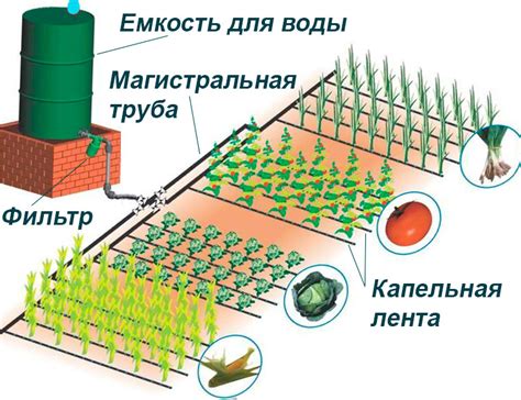 Автополив на даче: Виды, установка и отладка [+Видео 2019]