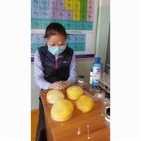 Chemistry Photo-2024 Гэрэл зургийн уралдаан | Грийн химистри ХХК